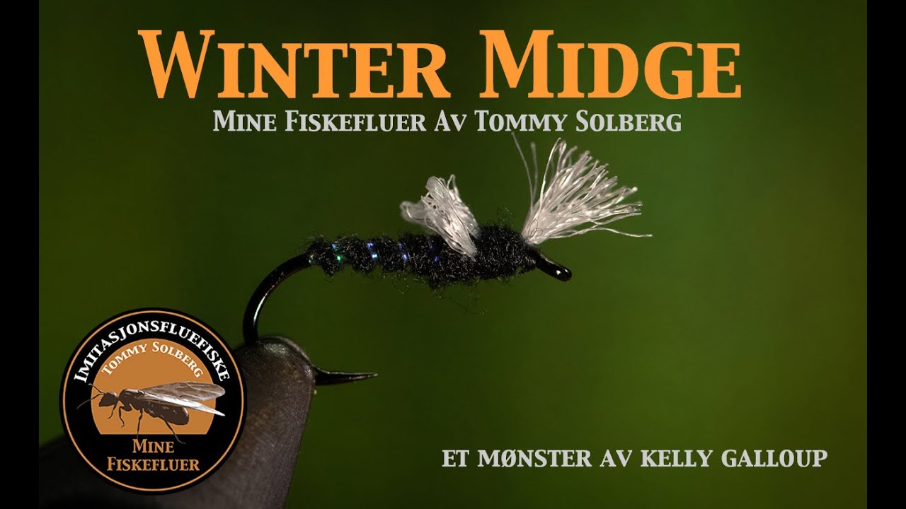 Winter Midge Myggpuppe. Mine fiskefluer og imitasjonsfluefiske. Fluebinding i blues mancaven.