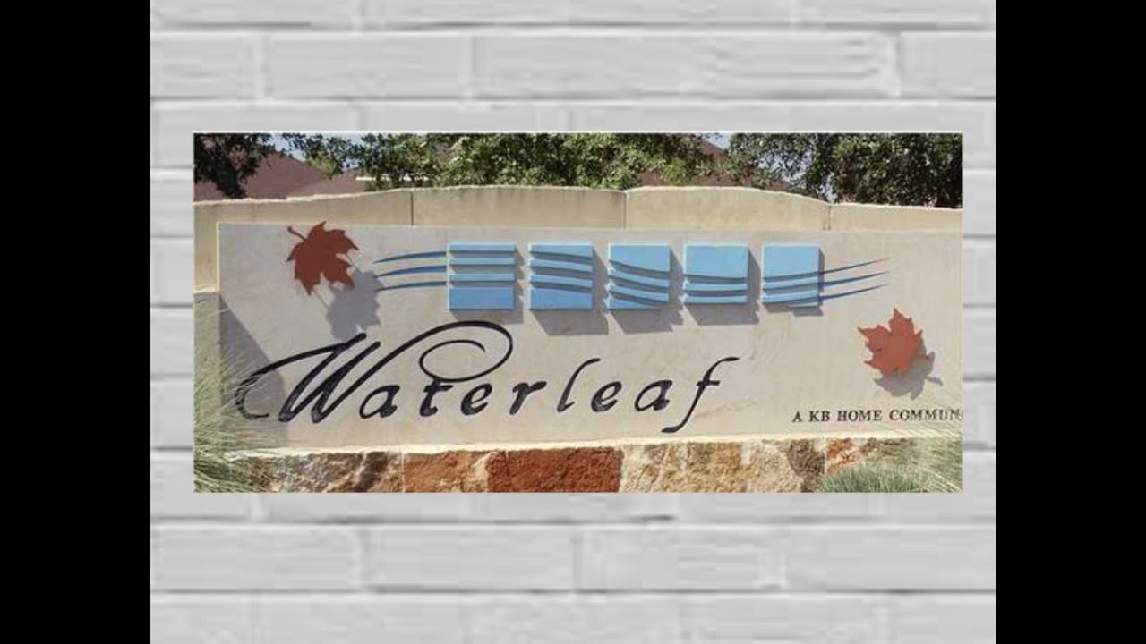 Waterleaf - Kyle Texas