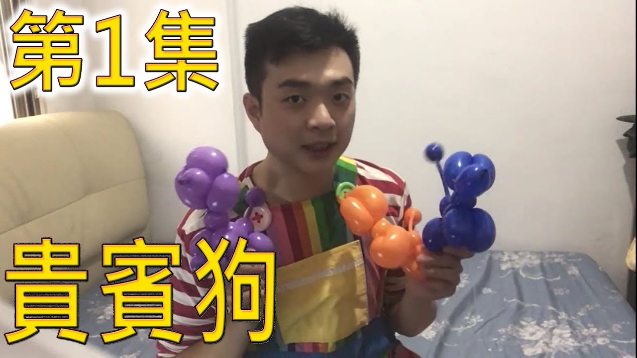 氣球入門#01 學氣球的第一課 氣球貴賓狗/小狗 How to make a balloon dog