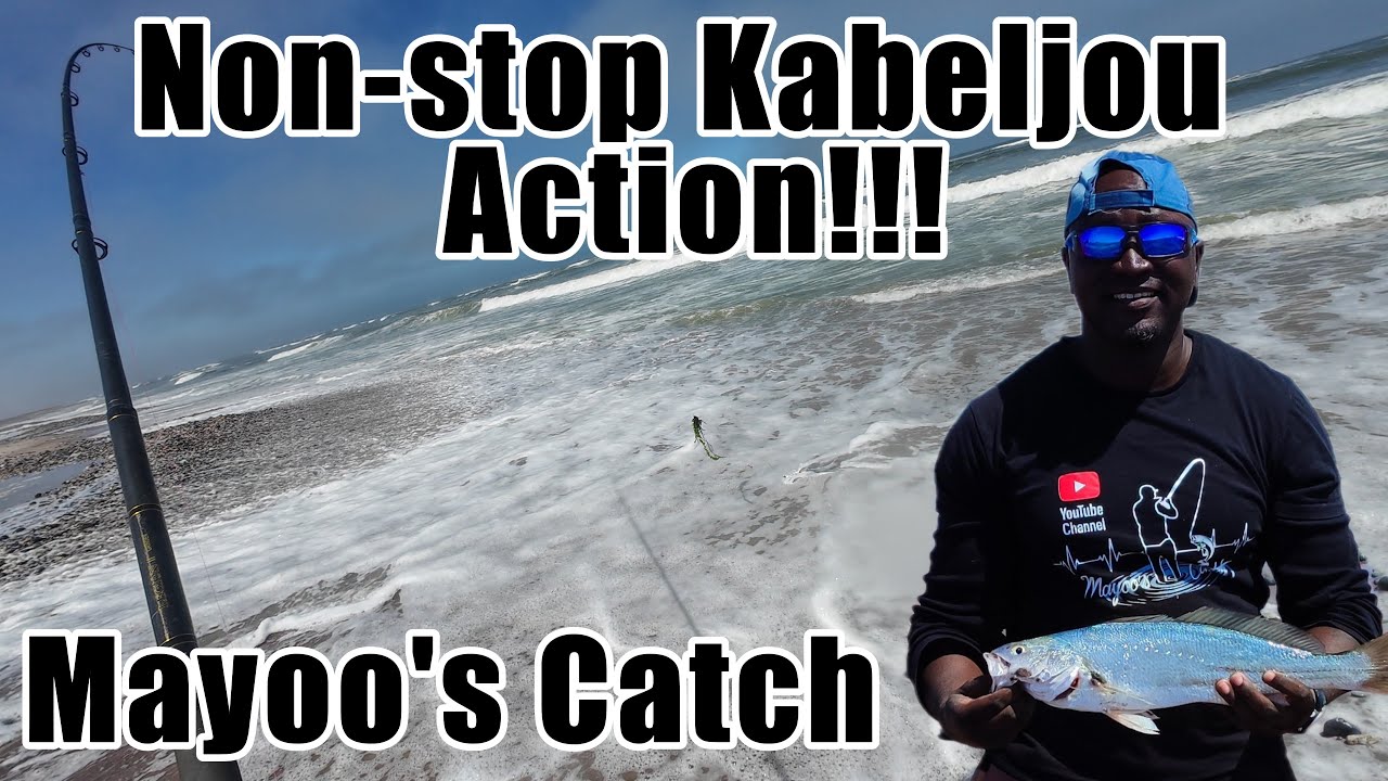 Non-stop Kabeljou Action!!! - Mayoo's Catch in Swakopmund Namibia