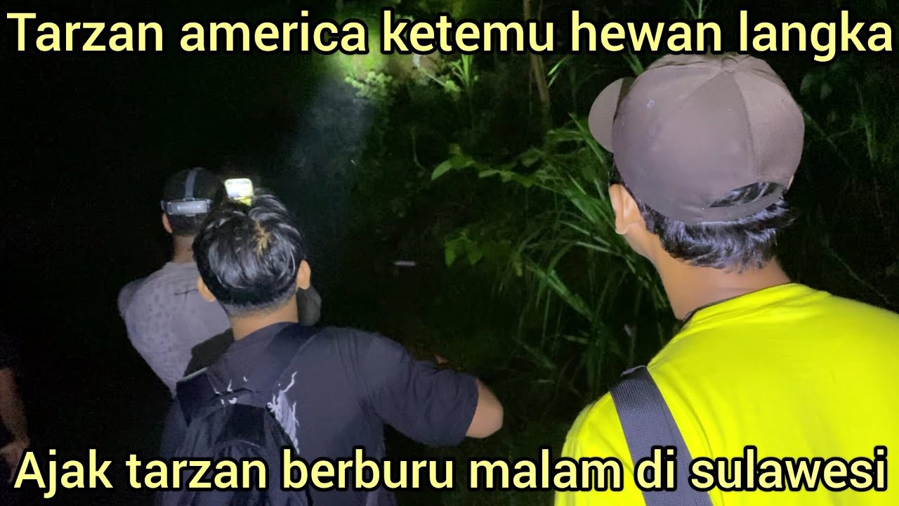 AKHIR NYA TARZAN AMERICA BISA IKUT BERBURU DI SULAWESI,MOMEN LANGKA BISA KETEMU HEWAN INI