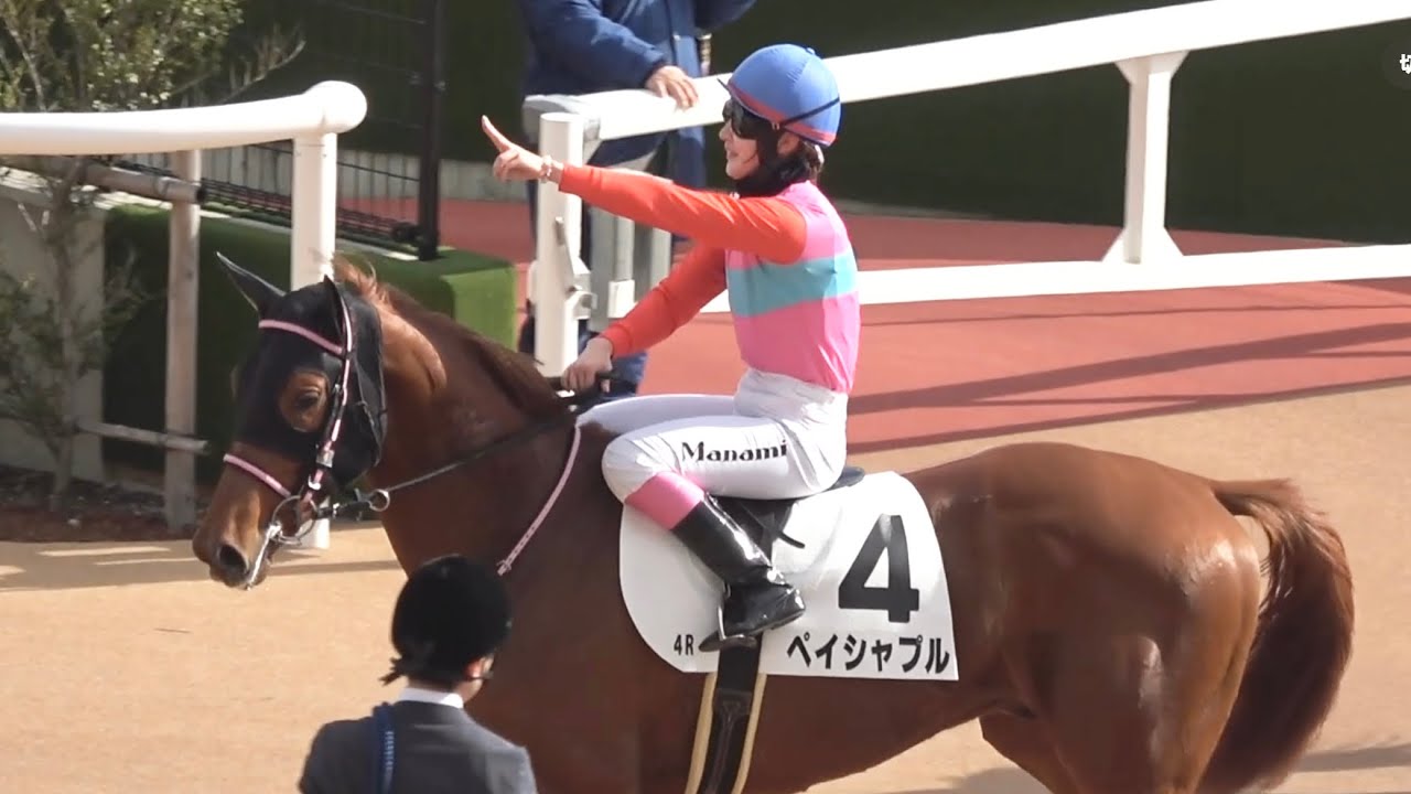 【現地】2026  ペイシャプル 年女の永島まなみ騎手が今年初の新馬戦を制す ウォーターハクビが落馬しレース後騎手がいるかのように戻ってくるが最後に逆走してしまう【京都競馬場】