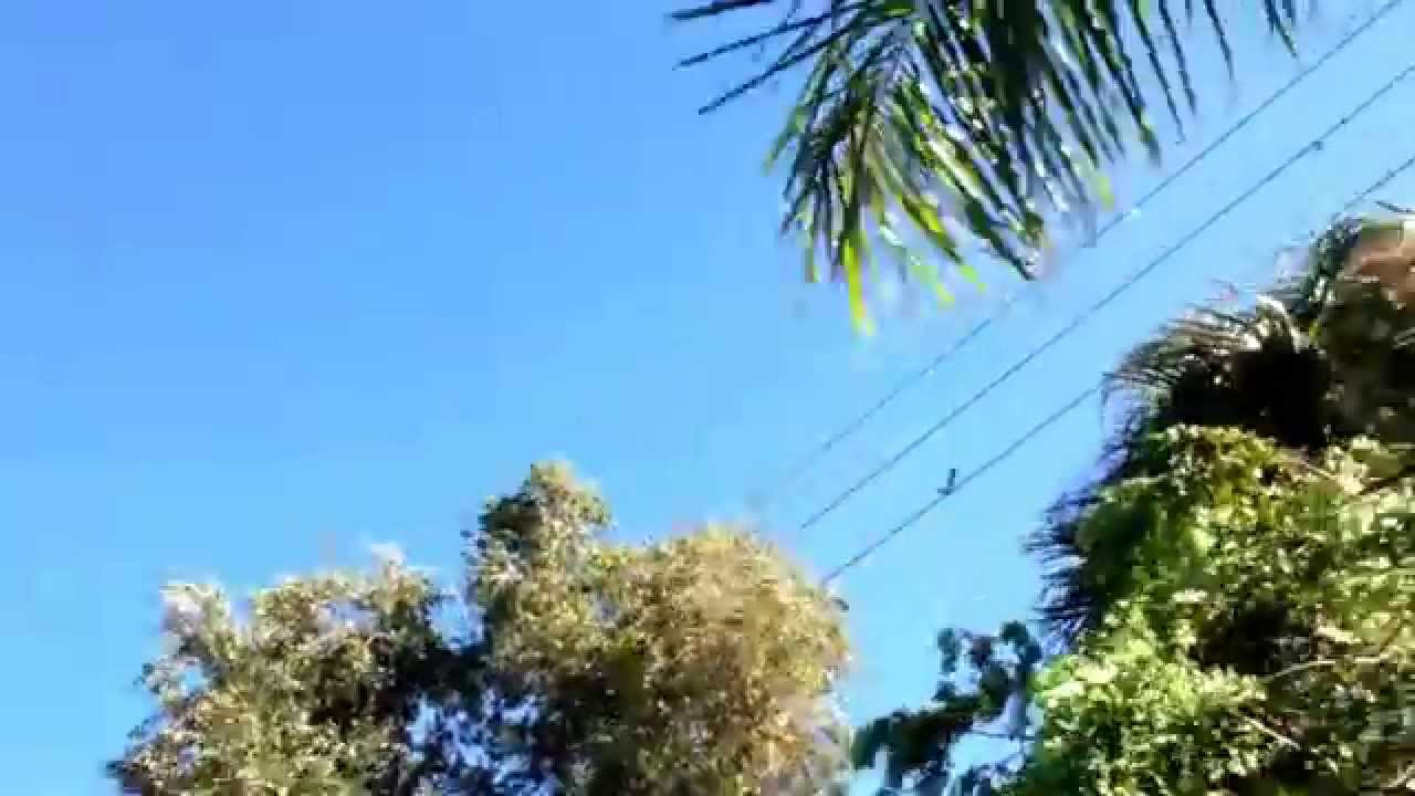 F-22 Raptor Sound barrier bust at Air Show Stuart Florida 2014