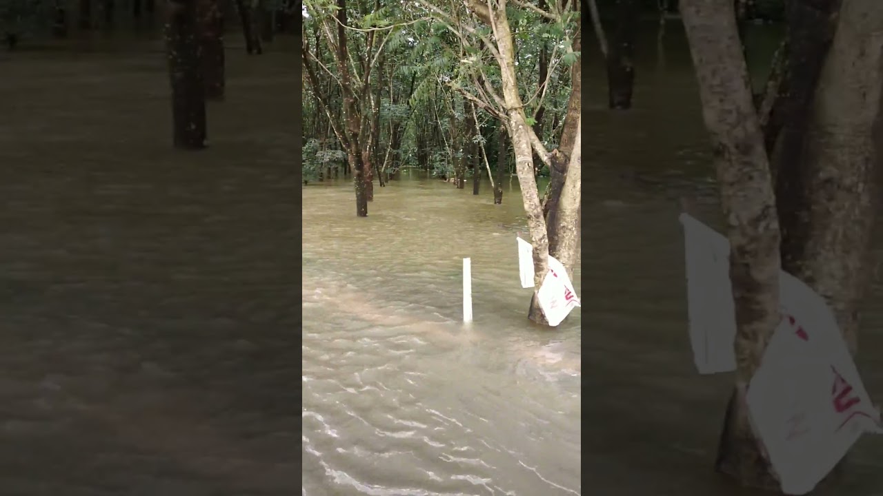 Kerala Floods 2018 | Kottayam