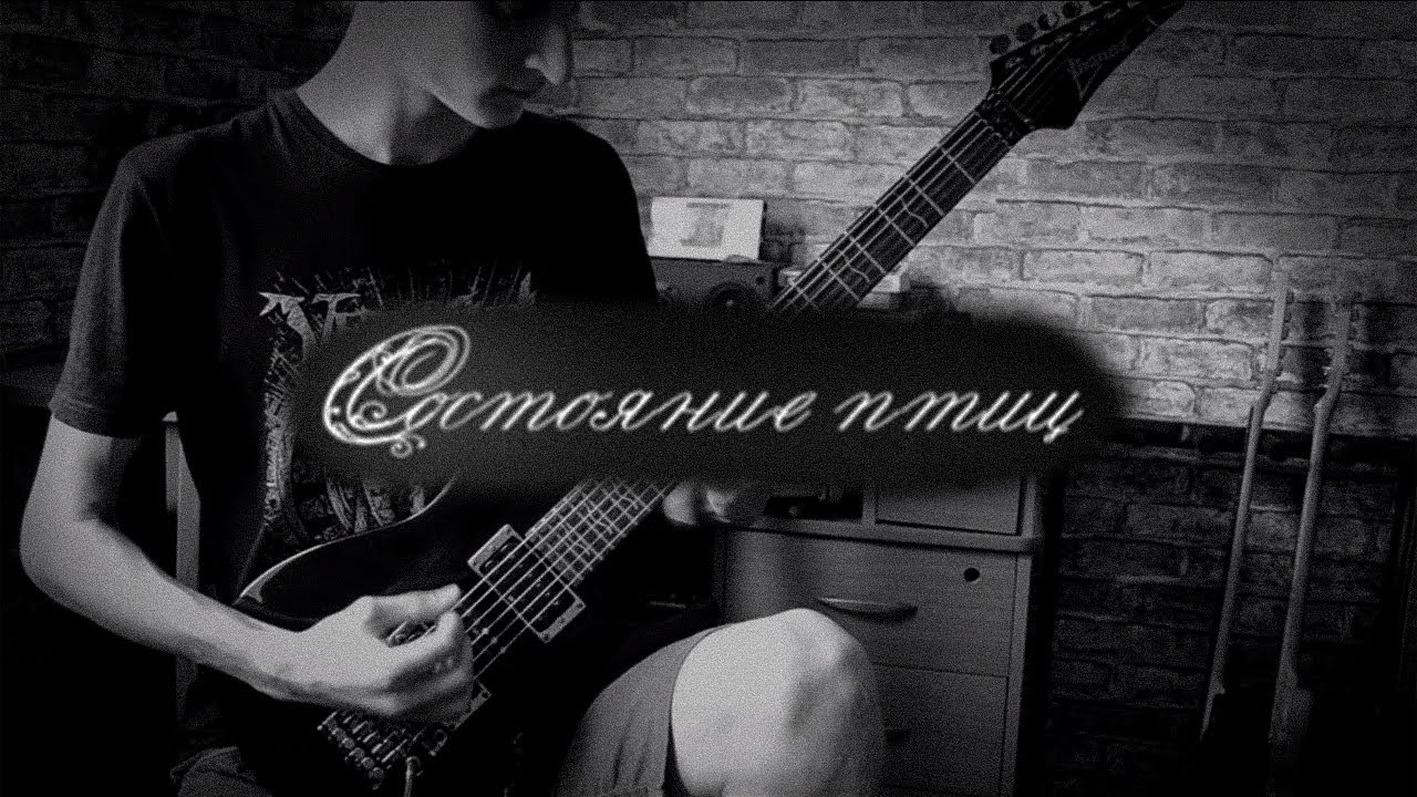 Состояние птиц - VIII(guitar cover)