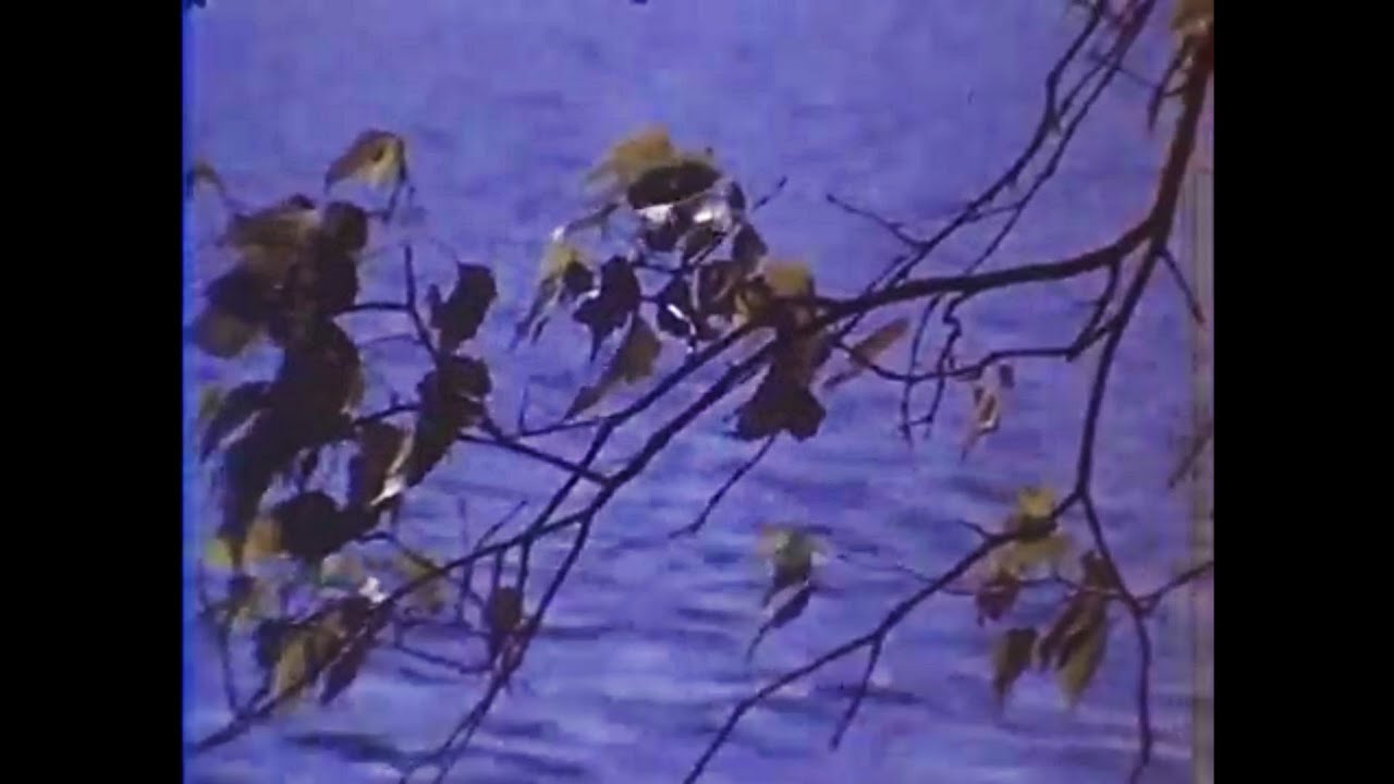 occasionally, he saw brief glimpses of beauty