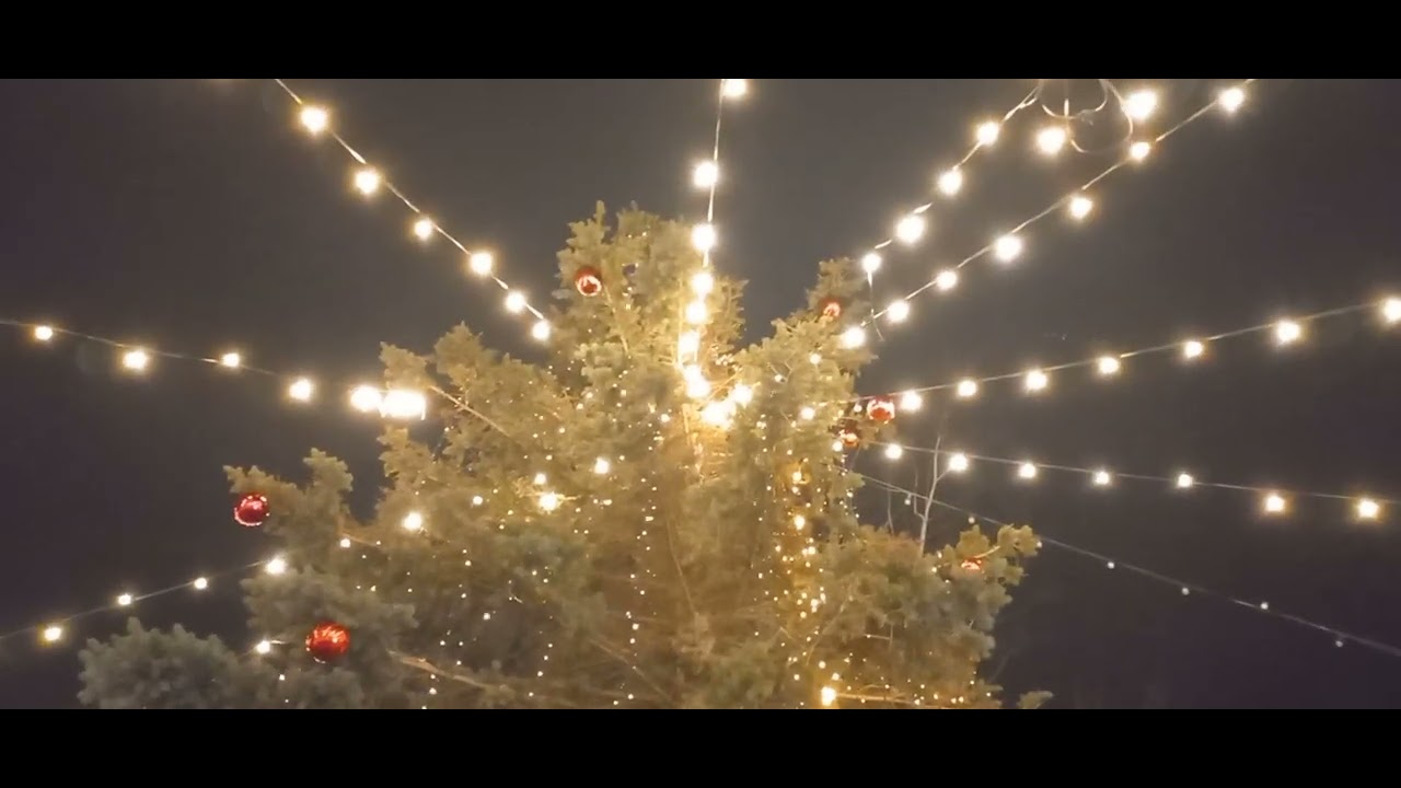 27 февраля. Юрмала. Отель 🏨 BALTIC BEACH...Новый год продолжается. 😁😁😁