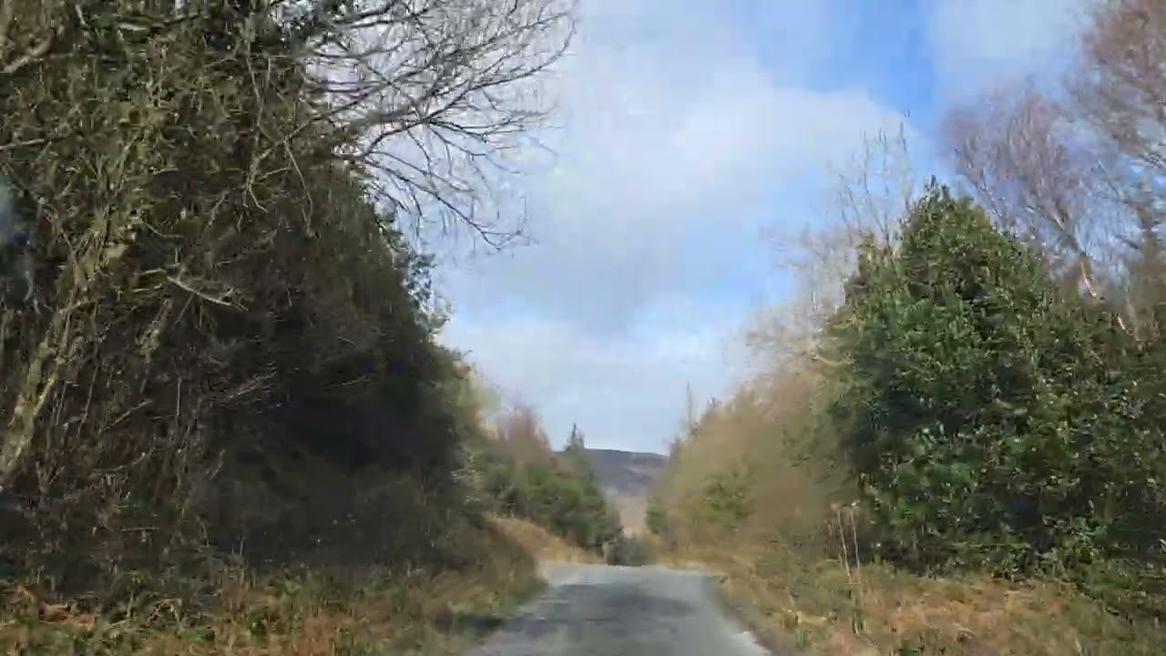 13.03.2026г. Ирландия, графство Уотерфорд, Едем на Водопад Махон