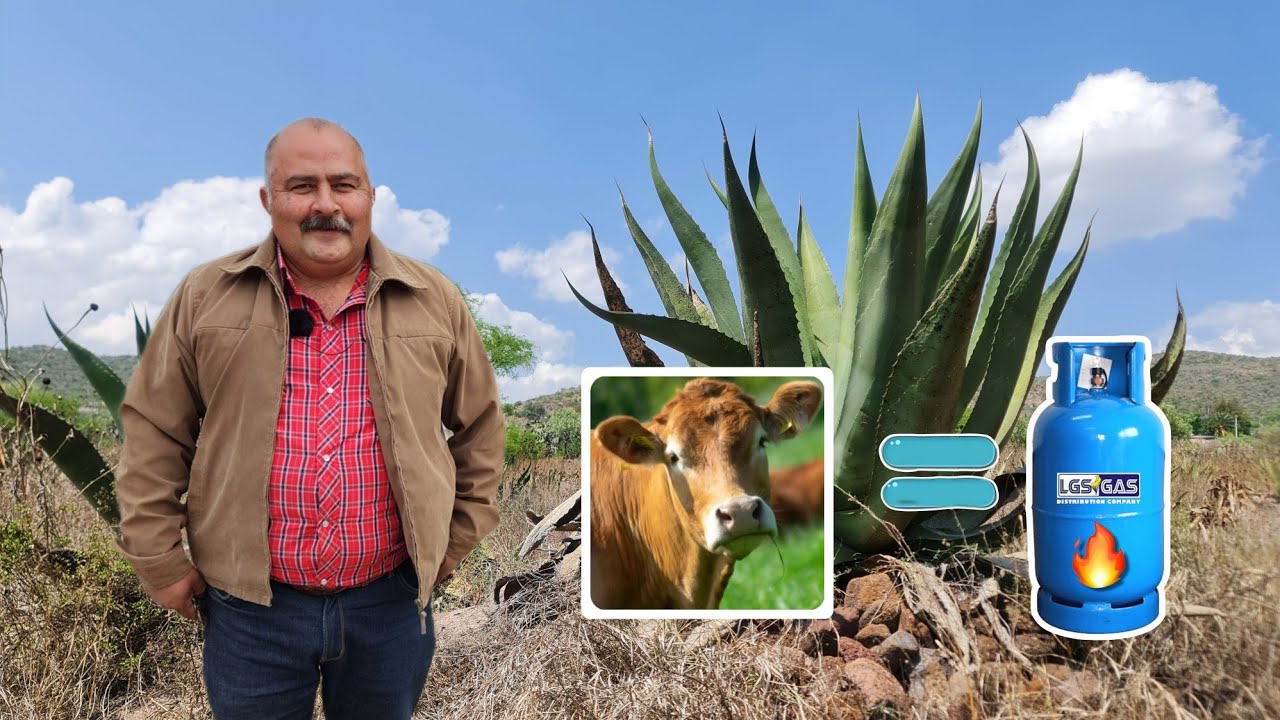 🌱💡 “Cómo Convertir Desechos Orgánicos en Biogás: Energía Limpia y Sostenible”