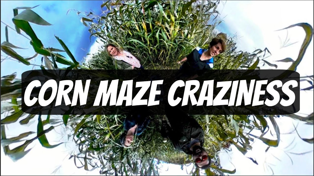 Corn Maze Craziness at McMillan Farms
