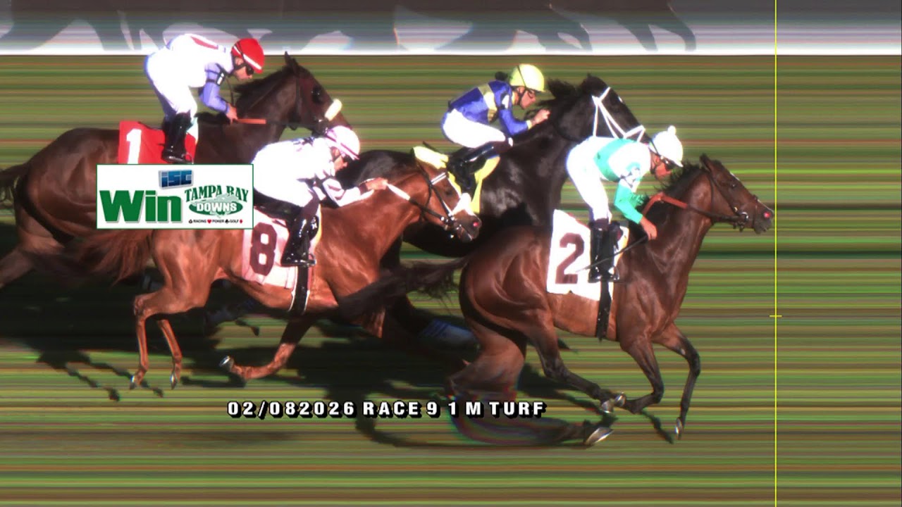 Tampa Bay Downs Live Stream
