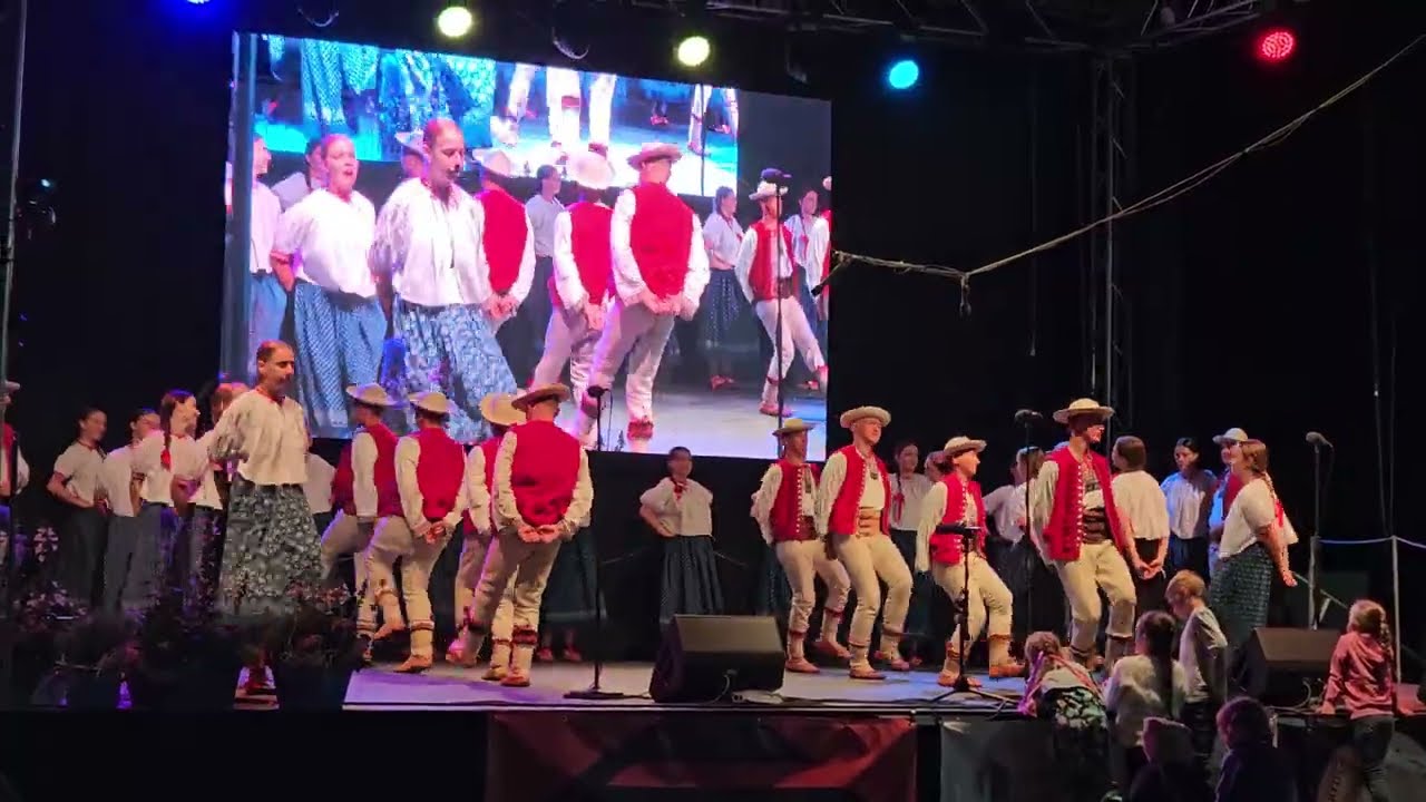 MFF Mistřín 2025 Zespól Regionálny ISTEBNA