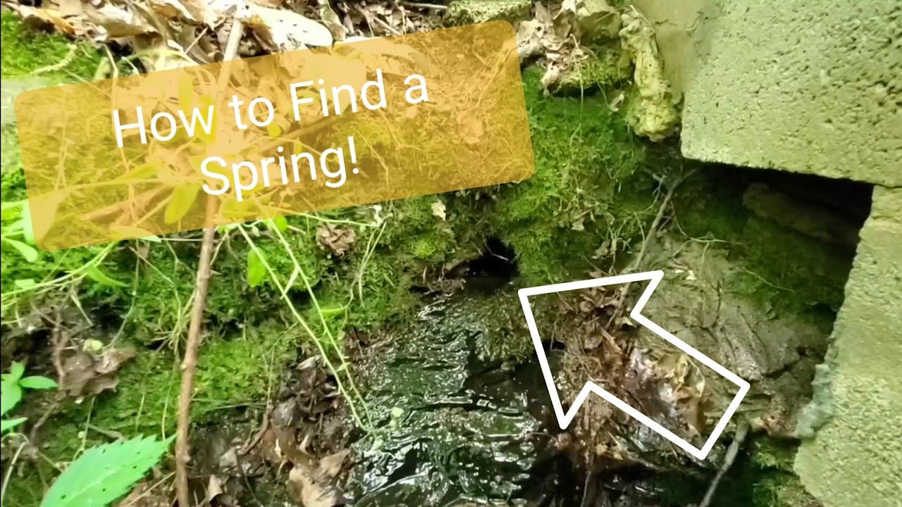 How to Find a Spring!