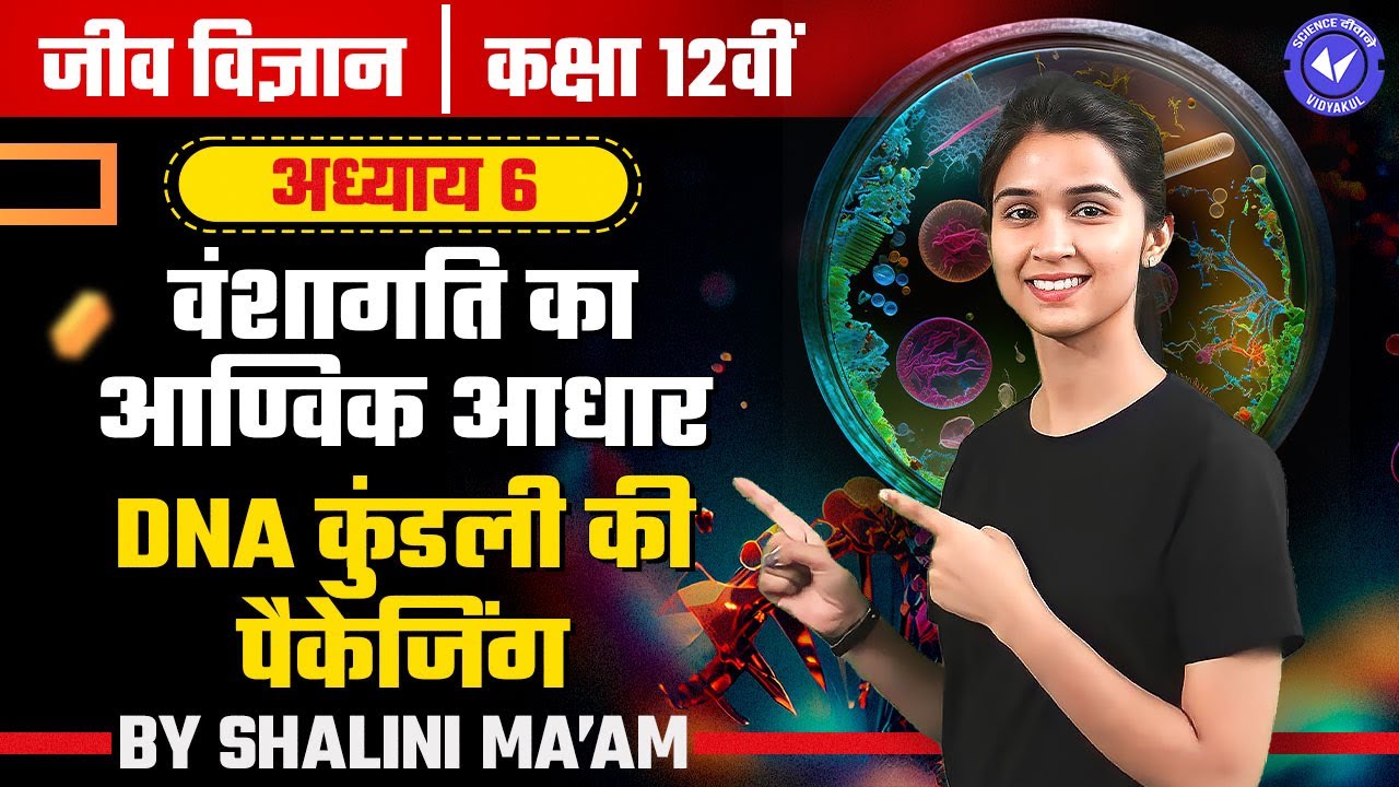 DNA कुंडली की पैकेजिंग (L-4) | वंशागति का आण्विक आधार | Biology Class 12 Chapter 6