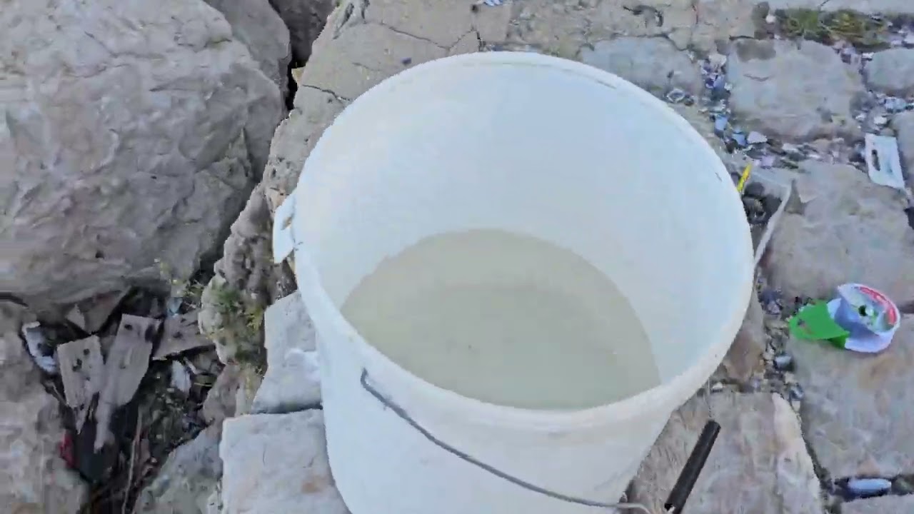 Pêche de vifs du bord pour pêcher le Bar !!! Facile et efficace 😉