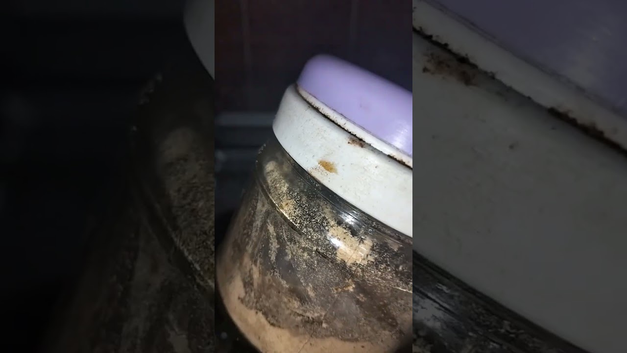 زيت الجرجير والموزة مع نخاع العظم تنبيت تنعيم عدم تساقط مع سحر وصفات ماما