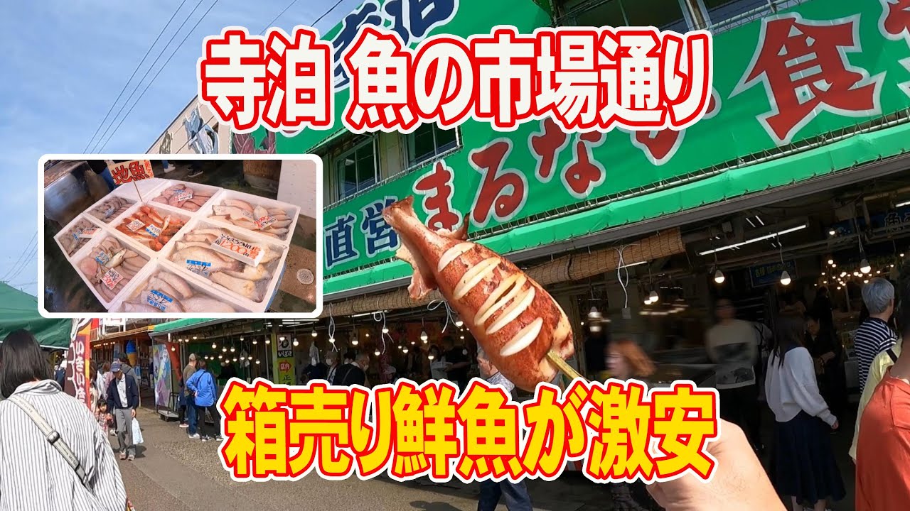 【寺泊 魚の市場通り】雰囲気最高♪安さに驚愕！クーラーボックス必須だね！