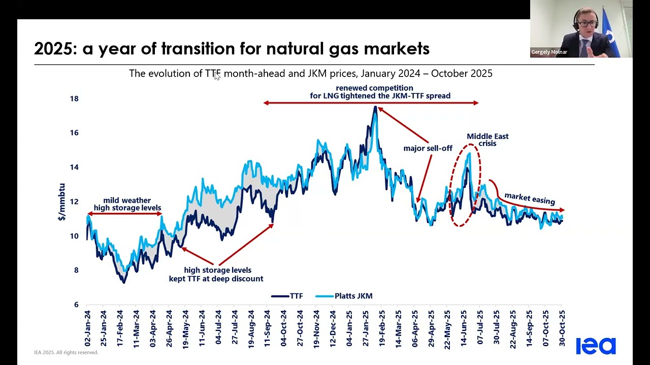 Gas Market Outlook 2025 &ndash; Implications for Southeast Asia