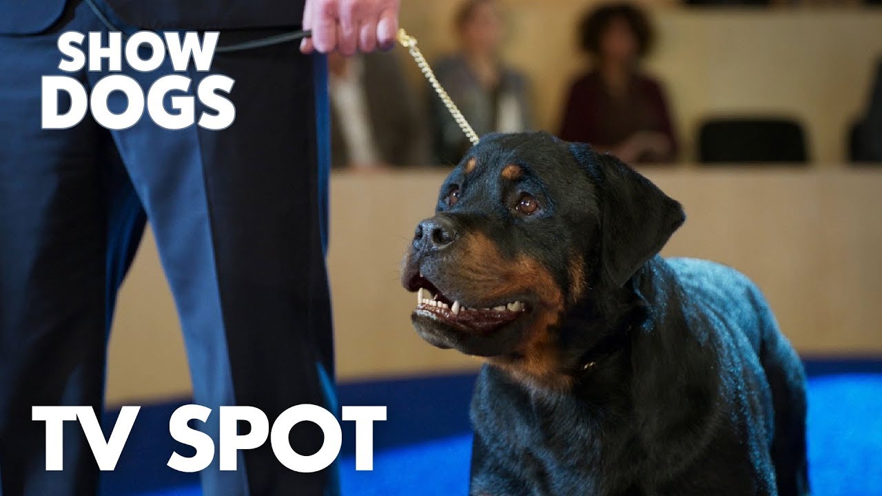 Show Dogs | 