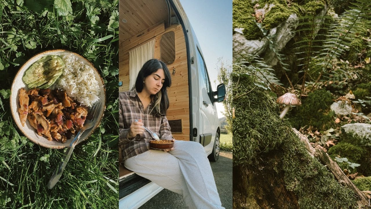 la vida en otoño 🍂 altibajos, recados, camperización y naturaleza [vlog]