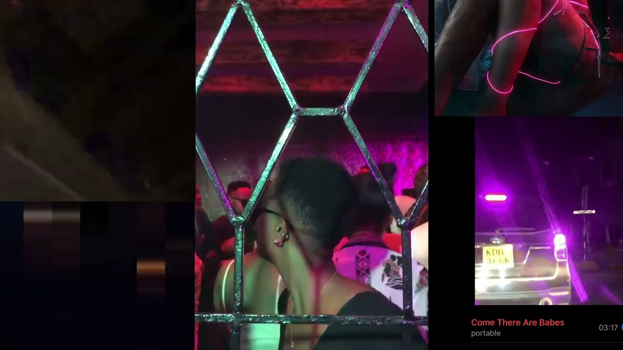 Vandrel -3 Tingz ft. On Safari, Bryvvn, LA 7AY & Prince.Wasabi (Visualizer)