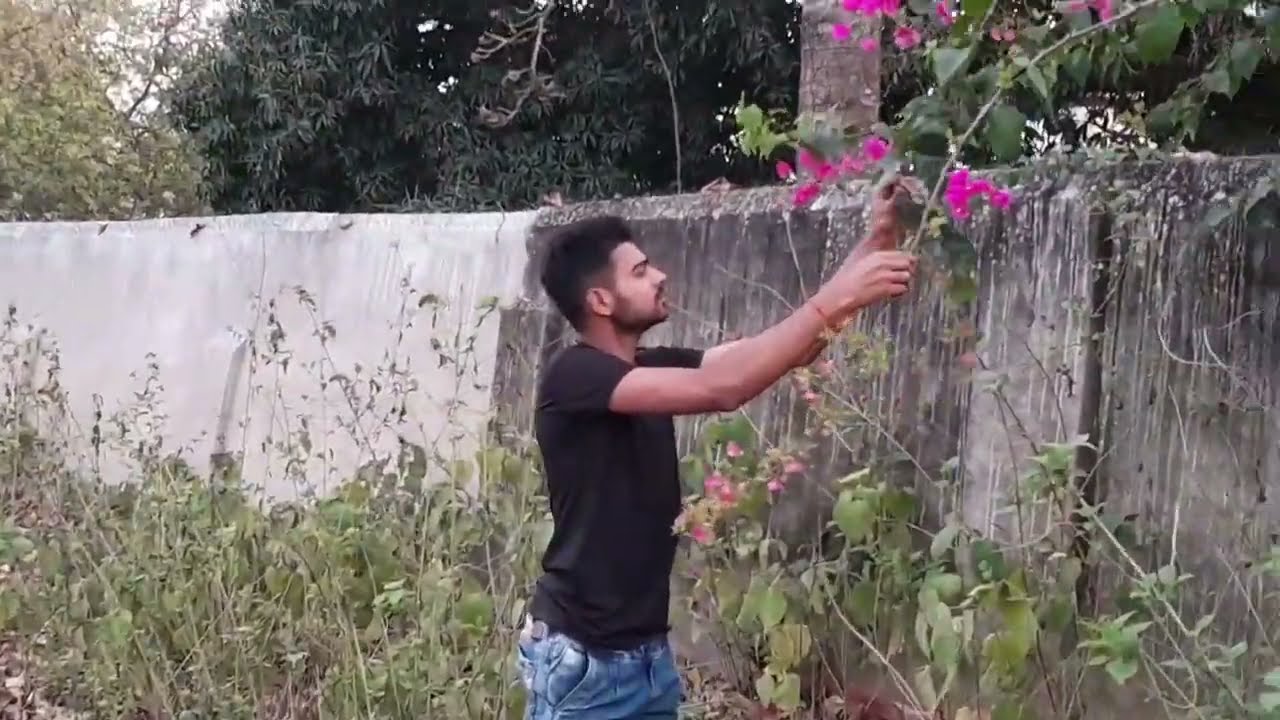 सिमुलताला की ऐतिहासिक कोठी|| मिनी शिमला ऑफ बिहार|| Near By Simultala Railway Station Bihar!