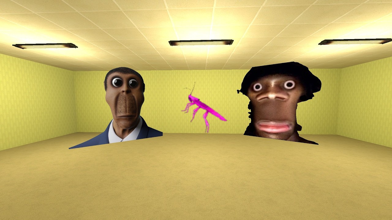 MY NAME IS TAPAKAH AUUGHH AND REALISTIC OBUNGA IN LIMINAL HOTEL GMOD #crazymod1m_#gmod_#nextbots