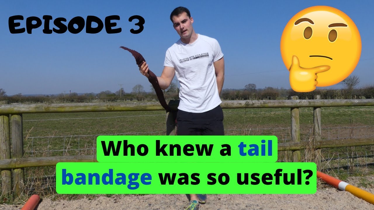 Who Knew a Tail Bandage Was So Useful?! | Equestrian Workout | Fitness