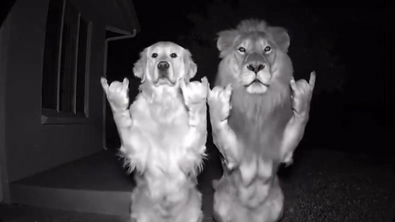 [𝐩𝐥𝐚𝐲𝐥𝐢𝐬𝐭] 등교-X발-하교-자퇴 = 🤯 | WithUFM 멤버들이 선별한 느좋 띵곡 모음 | 국힙, 외힙, 밴드, 알앤비, 팝 &bull; &bull; &bull;