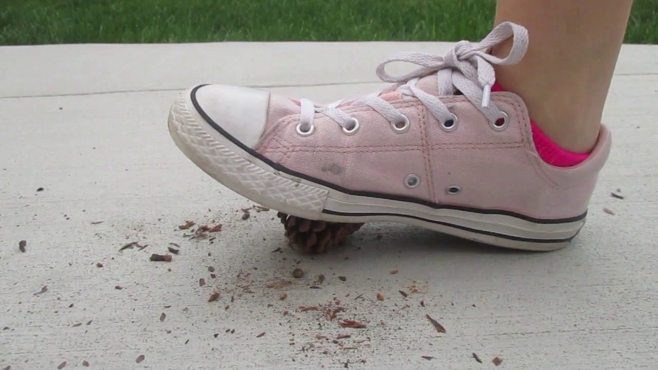 Pine cone ASMR - 2 Minutes of pine cone crushing