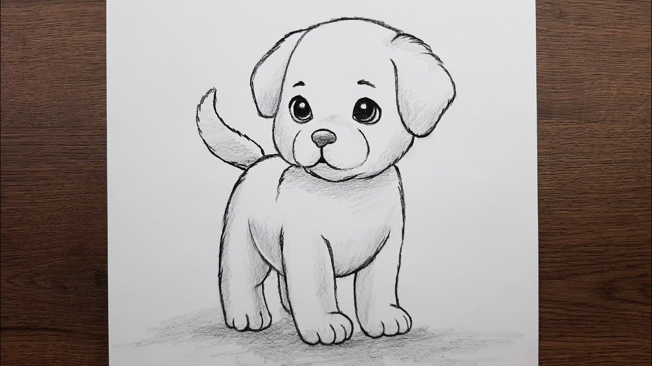 Kolay karakalem köpek resmi nasıl çizilir - Adım adım çizim rehberi yeni başlayanlar için