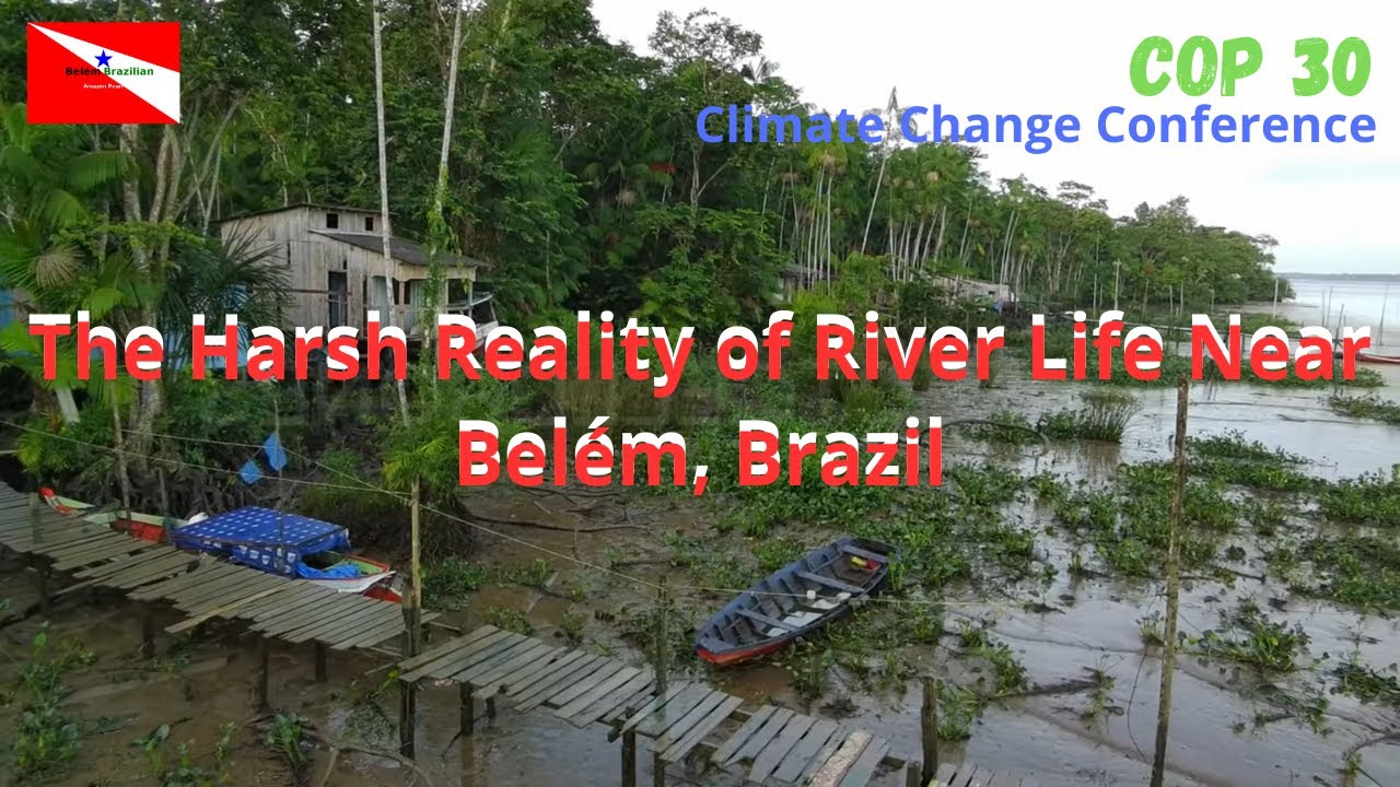 This Is How River People Live Near Bel&eacute;m, Brazil 🇧🇷 (Amazon Life Unfiltered)