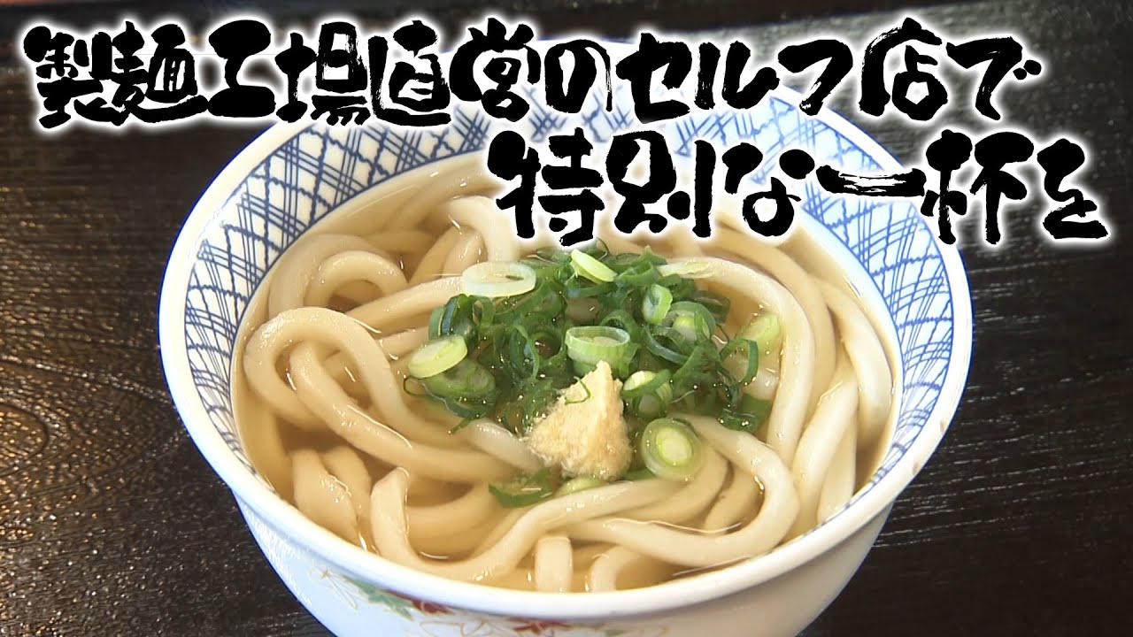 【特選うどん遍路】隣の製麺工場から届く打ち立てのうどん！！地元のみならず全国に本場の味を届けているうどん店【こんぴらや】　2025/03/03放送