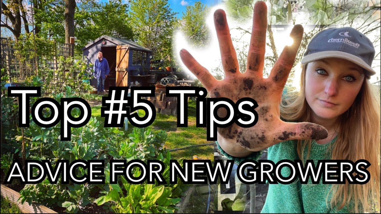 Allotment Tips for Beginners (or Anyone Struggling) || Talking Mental Resilience and Allotment Guilt