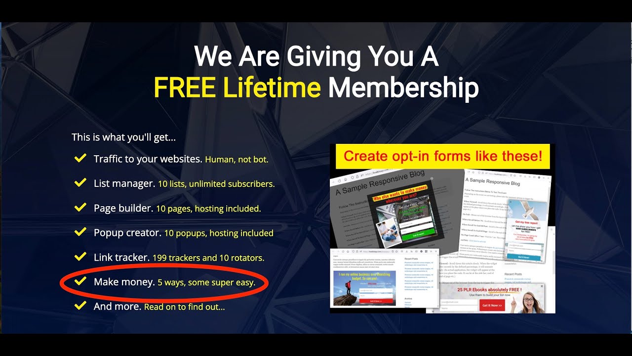 LeadsLeap - How To Set Up Your First Pro Ad In LeadsLeap