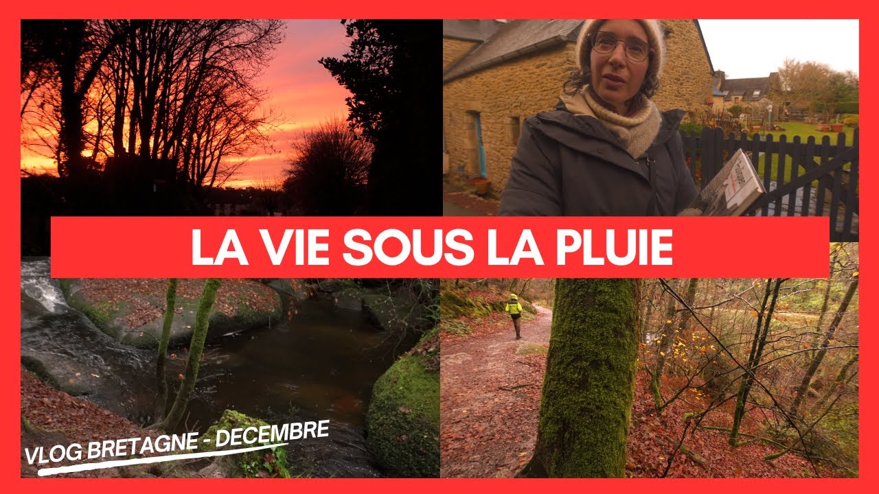 Les monts d'Arrée en décembre - Centre Finistère