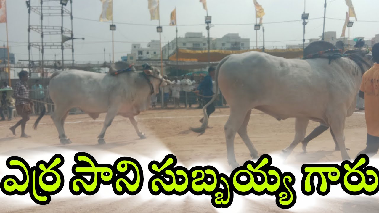 చిలకలూరిపేట  జూనియర్స 2వ యుర్రసాని సుబ్బయ్య గారు పమిడిమర్రు