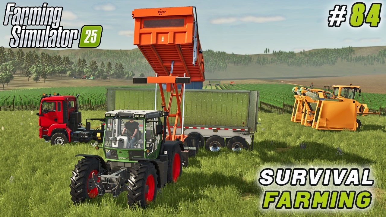 Massive Grape Harvest and Factory Expansion | Farming simulator 25 | Survival Farming | Timelapse#84