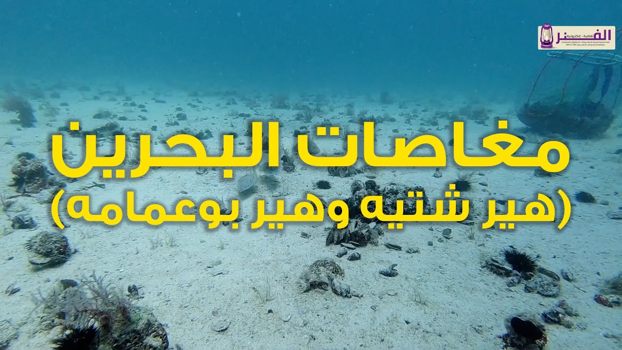 مغاصات البحرين هير شتيه وهير بوعمامه