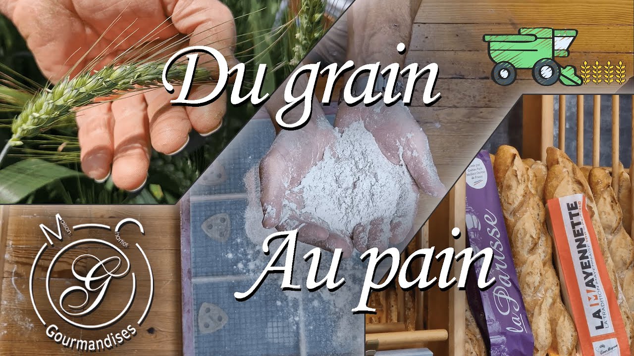 Du Grain Au Pain - Un reportage MC Gourmandises