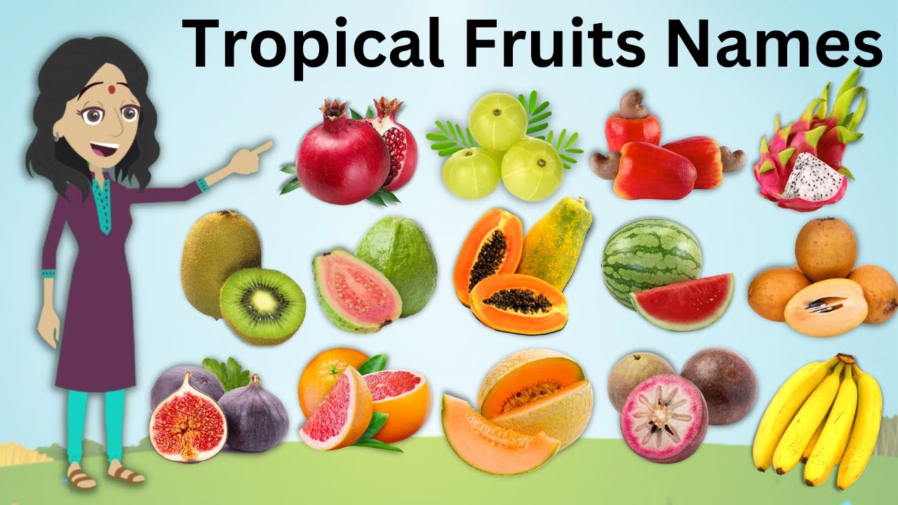 tropical Fruits Names | All Tropical Fruits Name | Fruits Vocabulary | KidsTube