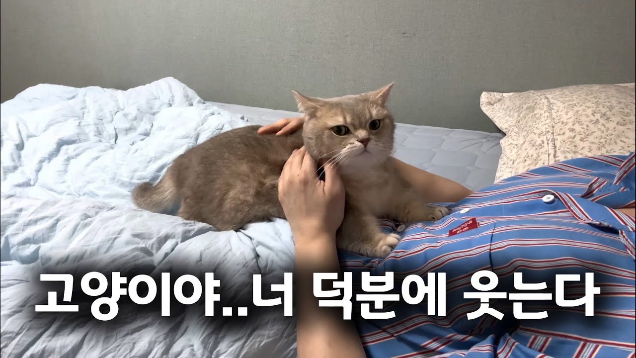집사가 슬럼프를 극복하는 방법