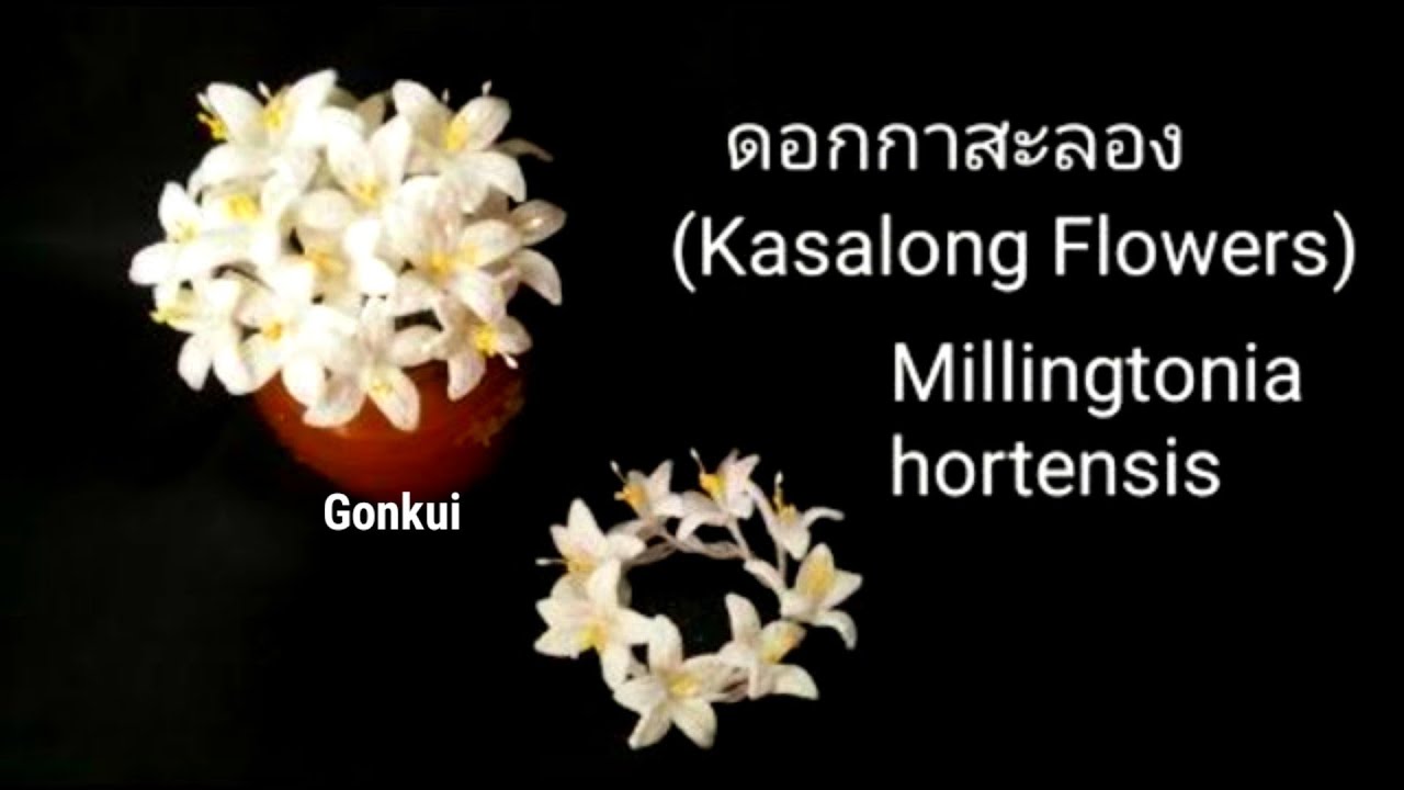 Crochet flowers | Millingtonia hortensis flower crochet #crochetflower #tutorial #crochet