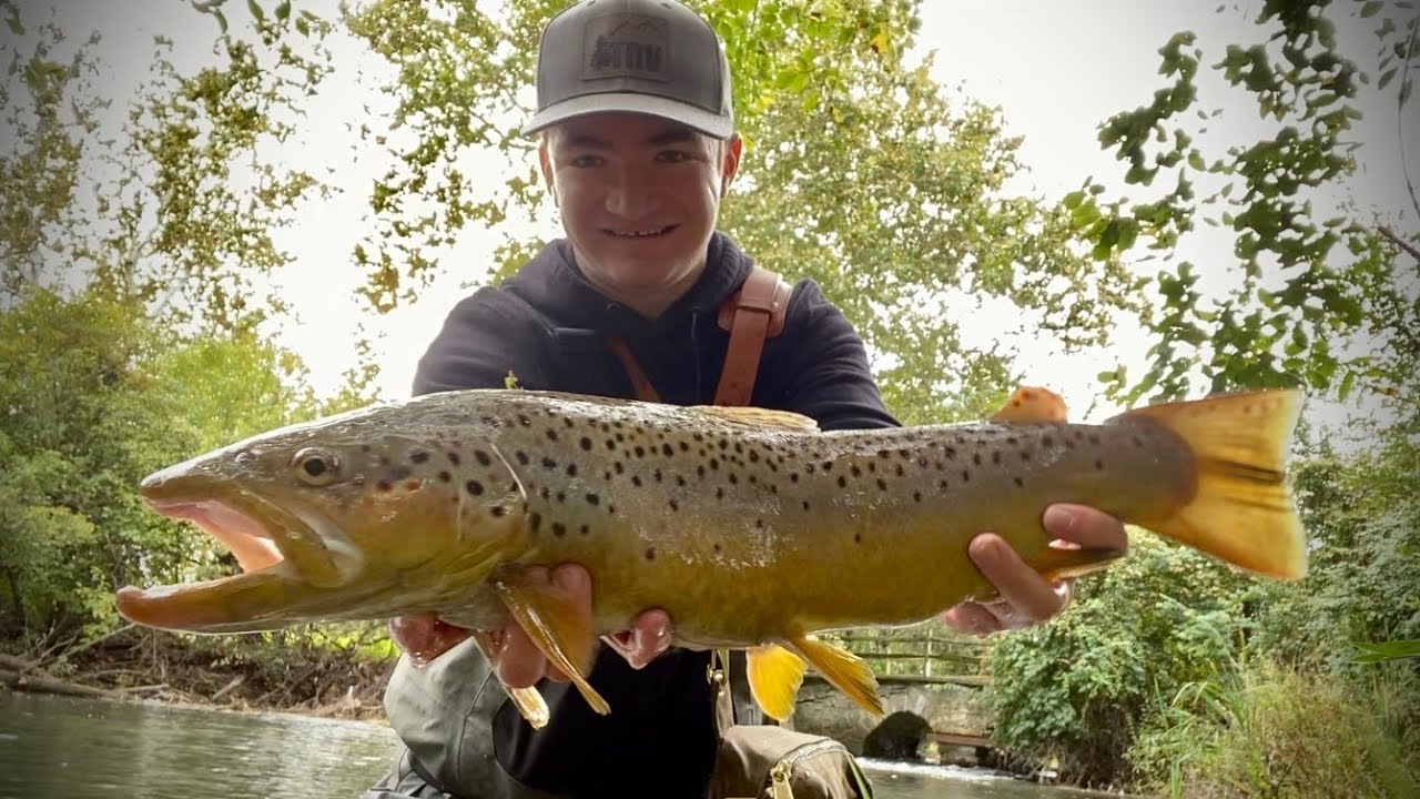 Streamer Fishing for GIGANTIC Wild Brown Trout (Biggest Brown of My Life)