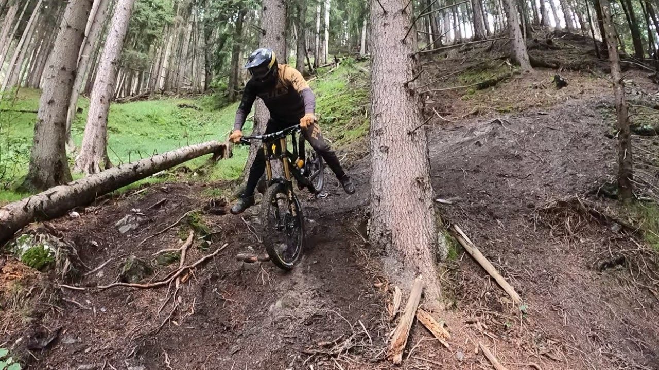 🐗 Animal Trail 🐗 Freeride MTB//DH