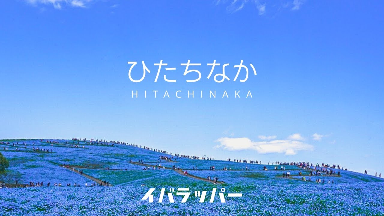 イバラッパー「ひたちなか」