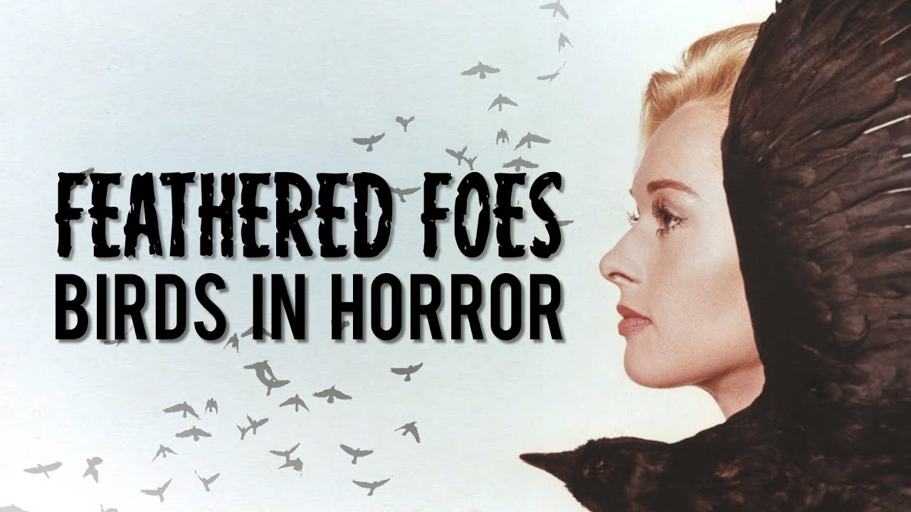 Feathered Foes: Birds in Horror