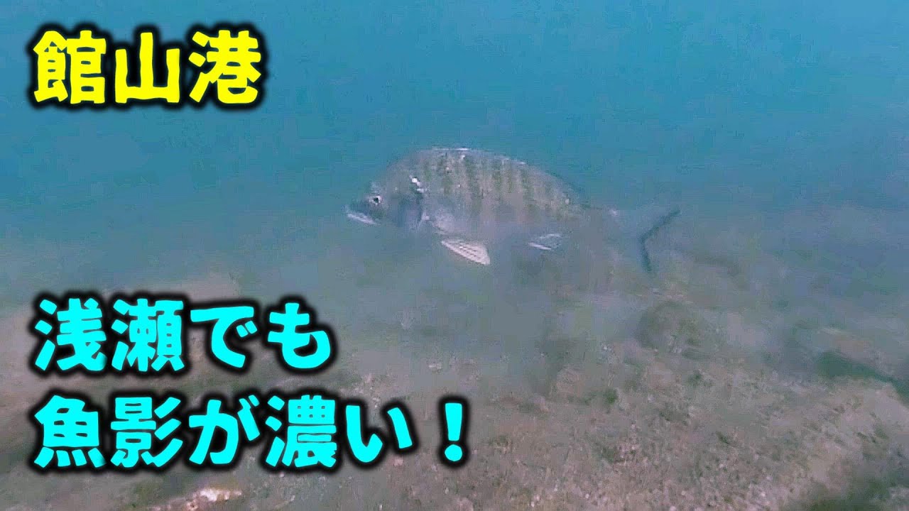 千葉県・館山港の海中を調査
