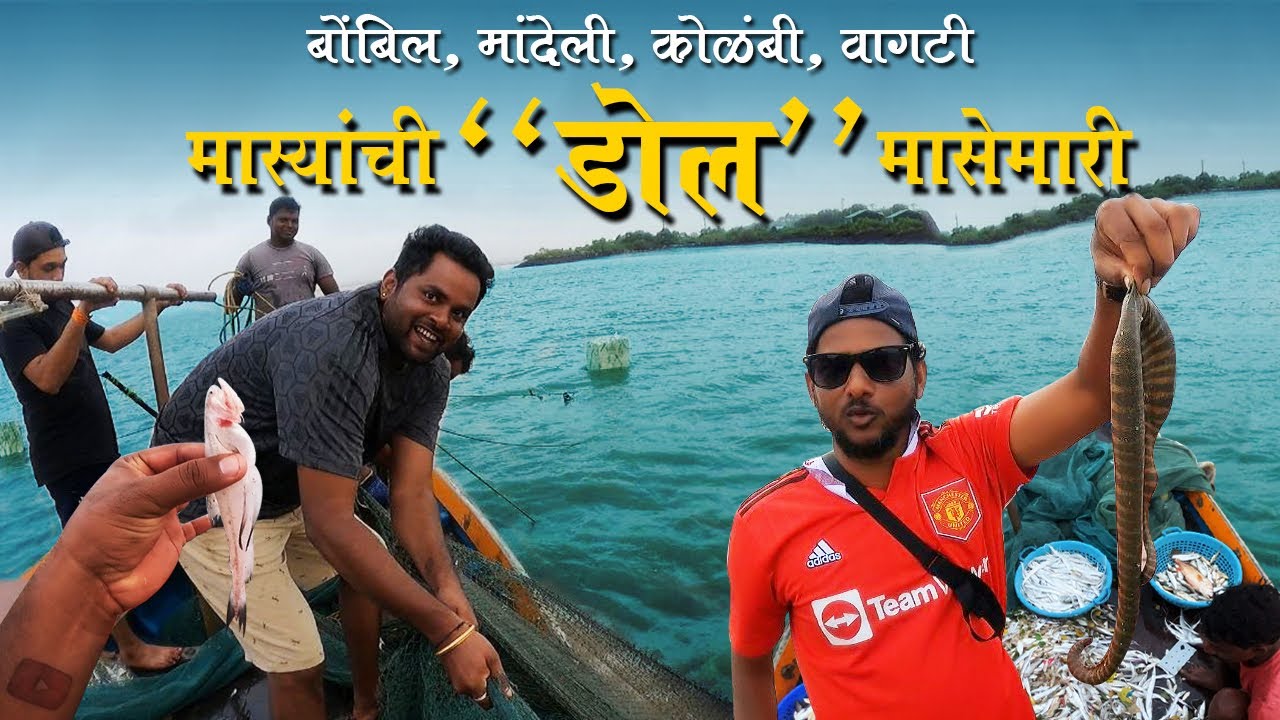बोंबिल, कोळंबी, वाघटी, मांदेली मास्यांची मासेमारी | 