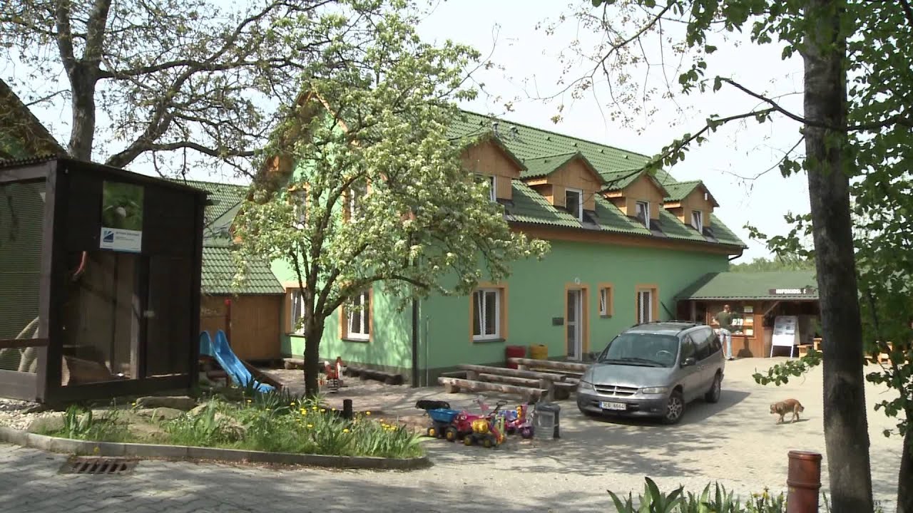 Dravci zachránění v Pasíčkách se vrátili do přírody
